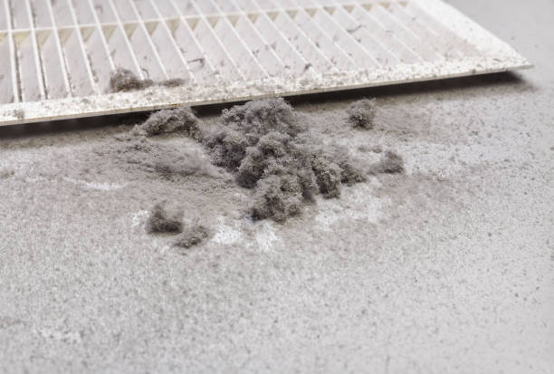 Best Local Air Duct Cleaning Services  in Wildomar, CA