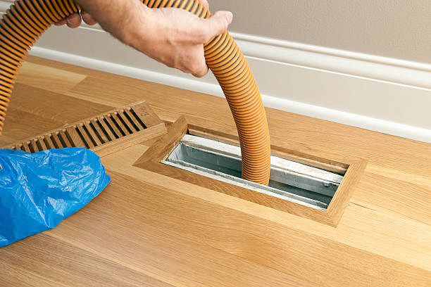 Air Duct Mold Removal in Wildomar, CA